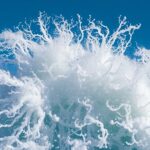 essential tips for essays