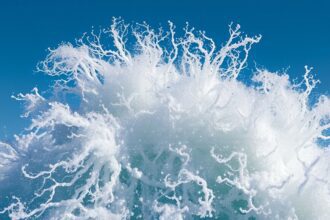 essential tips for essays