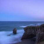 cat themed classroom craft ideas